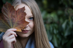 Autumn leaf