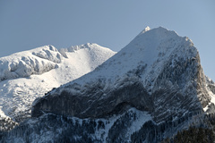Muráň z Tatranskej Javoriny