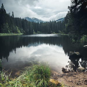 Vrbicke pleso