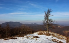 ošľahaný vetrom