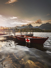 PLESO