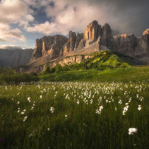 Rozkvitnuté Dolomity