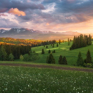 Tatranské línie