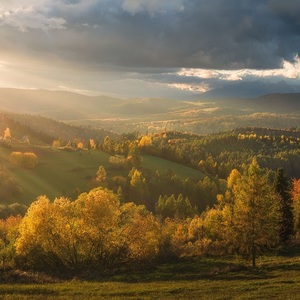 Levočské vrchy