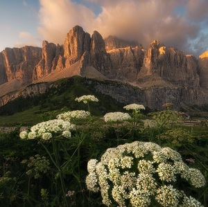 Rozkvitnuté Dolomity