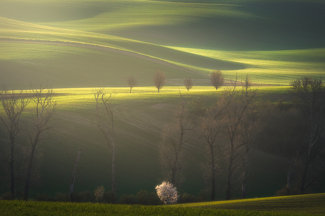 V prvých ranných lúčoch