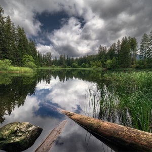 Vrbické pleso