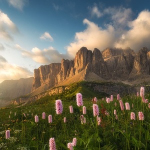 Rozkvitnuté Dolomity