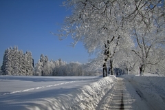 K Vernéřovu