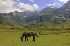 V údolí