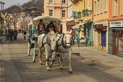 Spřežení