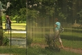 Zrcadlení