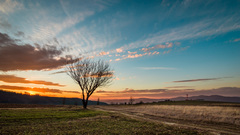 Dawn