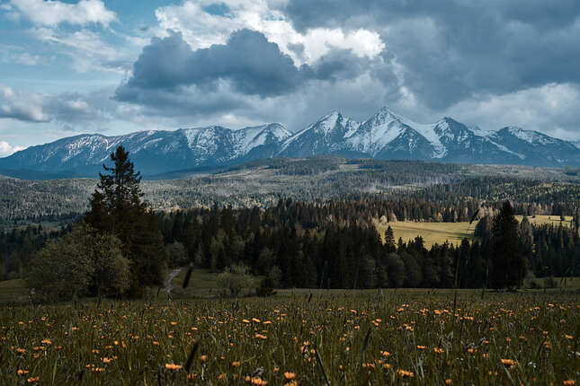 Tatry