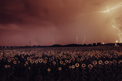 Storm