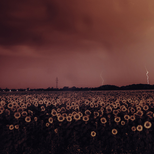 Storm