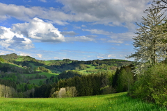 Podkronoší