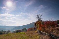 Jesenná 4