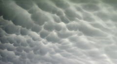 Mammatus