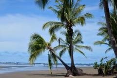 Parque nacional Marino Ballena