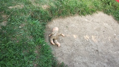Zátišie