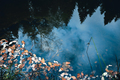 pond
