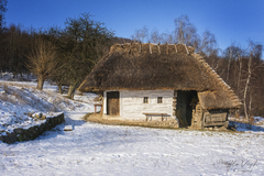 Dom z 20. storočia