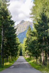 Nature