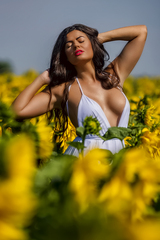 Lubica