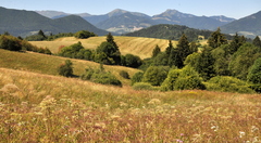Letná krajinka
