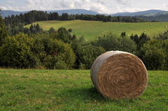 Balíkovo