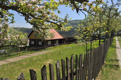 Na lazoch