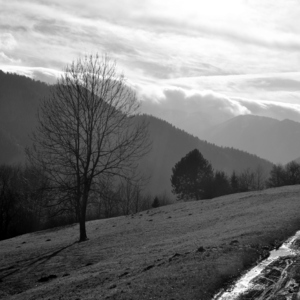 Cestička medzi osadami