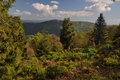 Kysucké Beskydy