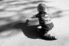 Catching the shadow