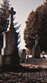 Ticho na Cintoríne