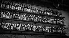 Pivo