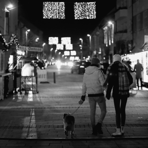 Vianočné večery v Trnave