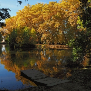 V zámockej záhrade II