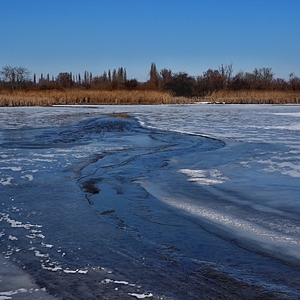 Zima na vypustenom rybníku