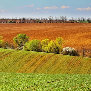 Slovenské duny