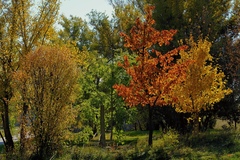 Jesenný kolorit