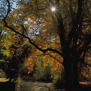 V zámockej záhrade