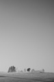 strom medzera a zase strom