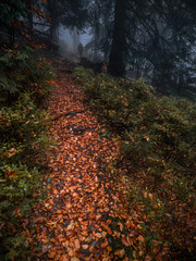 Malá Fatra