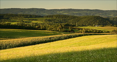Zlatá hodinka v Podkrkonoší