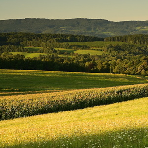 Zlatá hodinka v Podkrkonoší