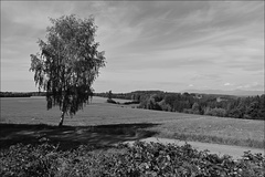 Solitér ve stínu
