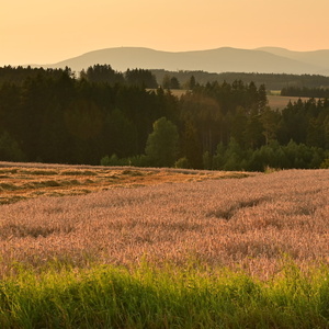 Večerní krajinka