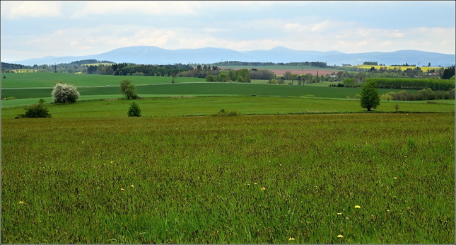 Jaro v Podkrkonoší